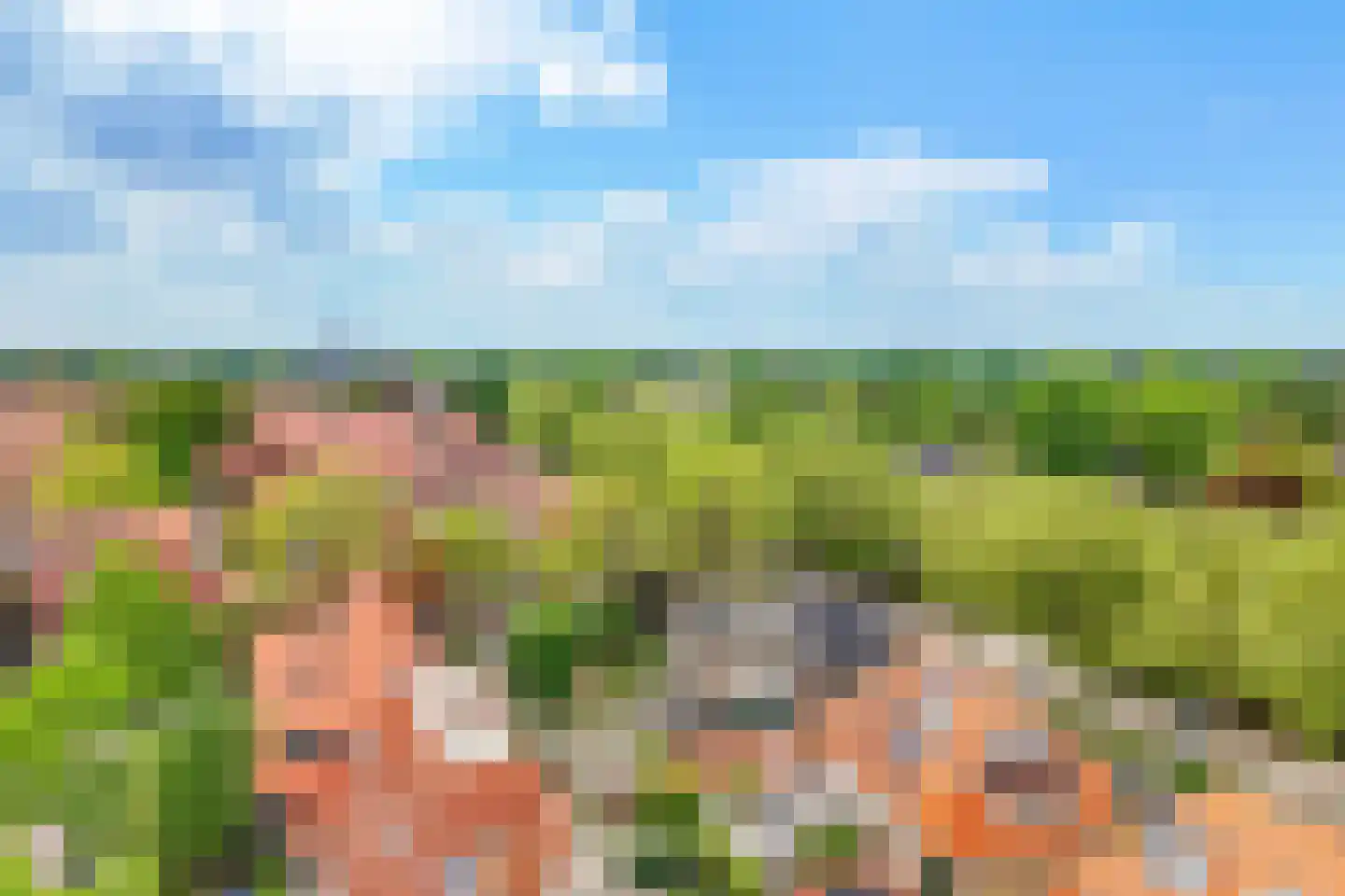 Huizerweg 206 Bussum thumbnail 67