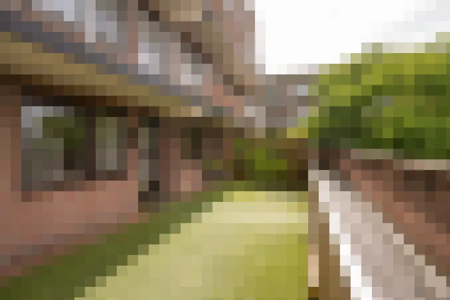 Huizerweg 21 B Bussum thumbnail 26