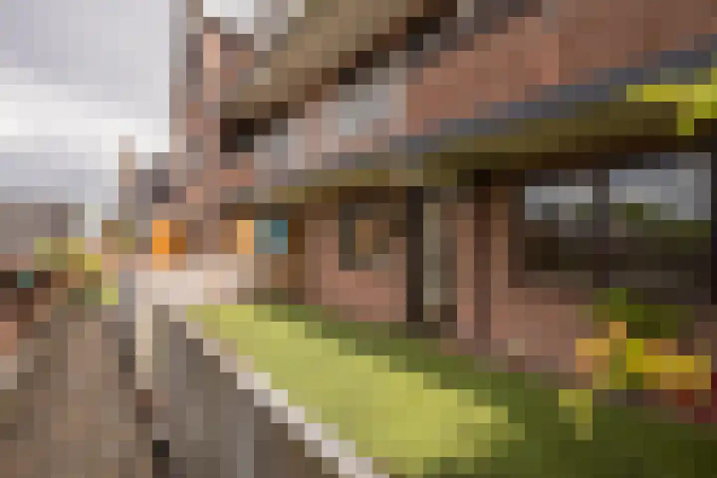 Huizerweg 21 B Bussum thumbnail 7