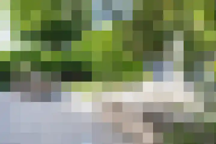 Huizerweg 29 Blaricum thumbnail 27