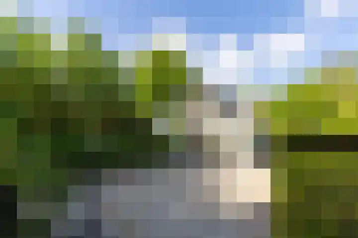 Huizerweg 29 Blaricum thumbnail 29