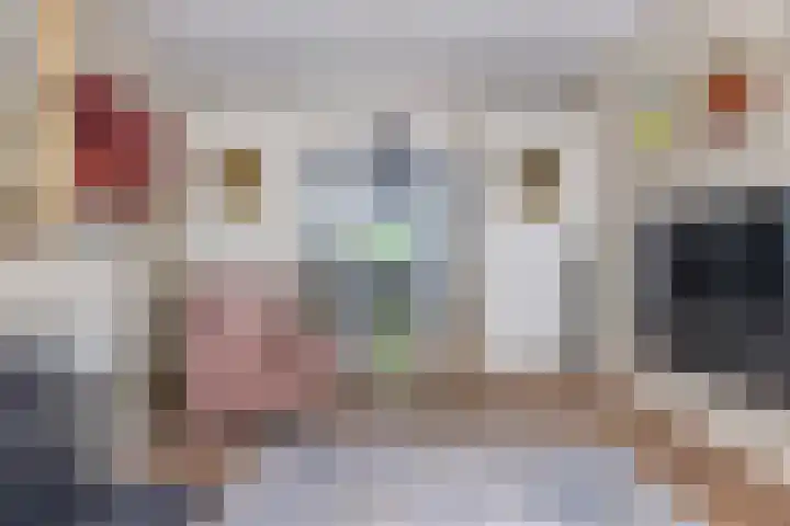 Huizerweg 29 Blaricum thumbnail 8
