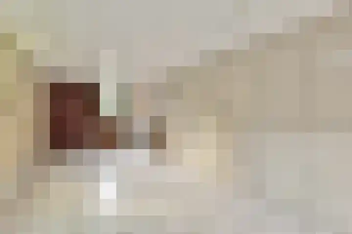 Huizerweg 35 Bussum thumbnail 37