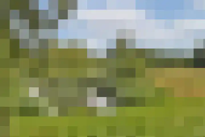 Huizerweg 35 Bussum thumbnail 40