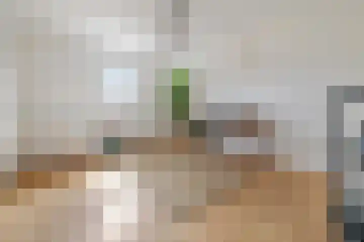 Huizerweg 43 C Bussum thumbnail 10