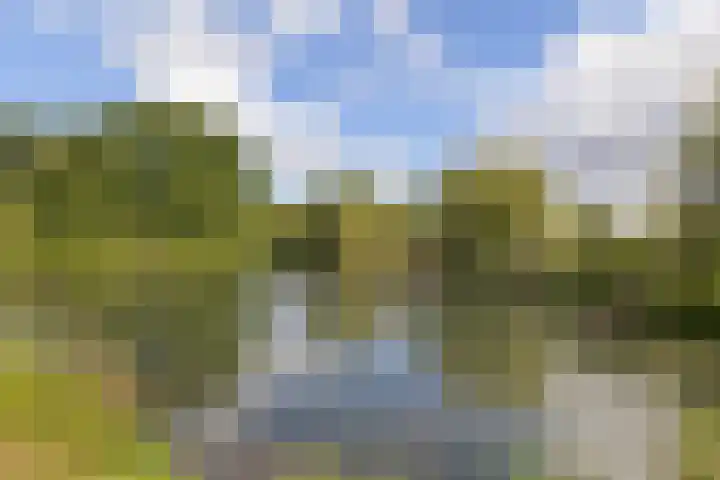 Huizerweg 43 C Bussum thumbnail 19
