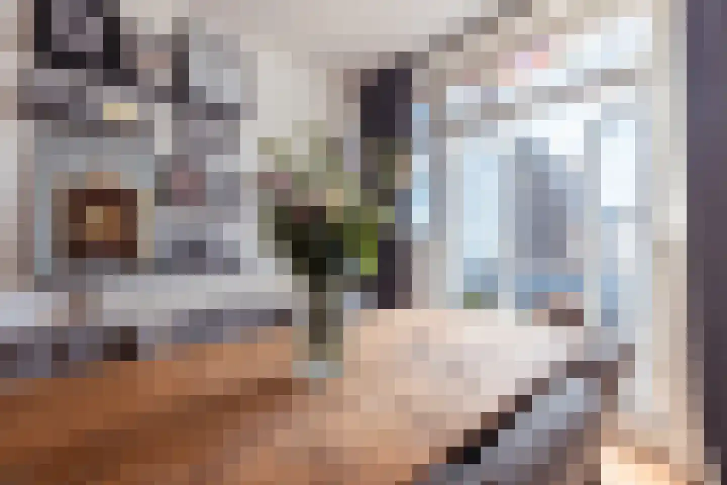 Huizerweg 44 Bussum thumbnail 17