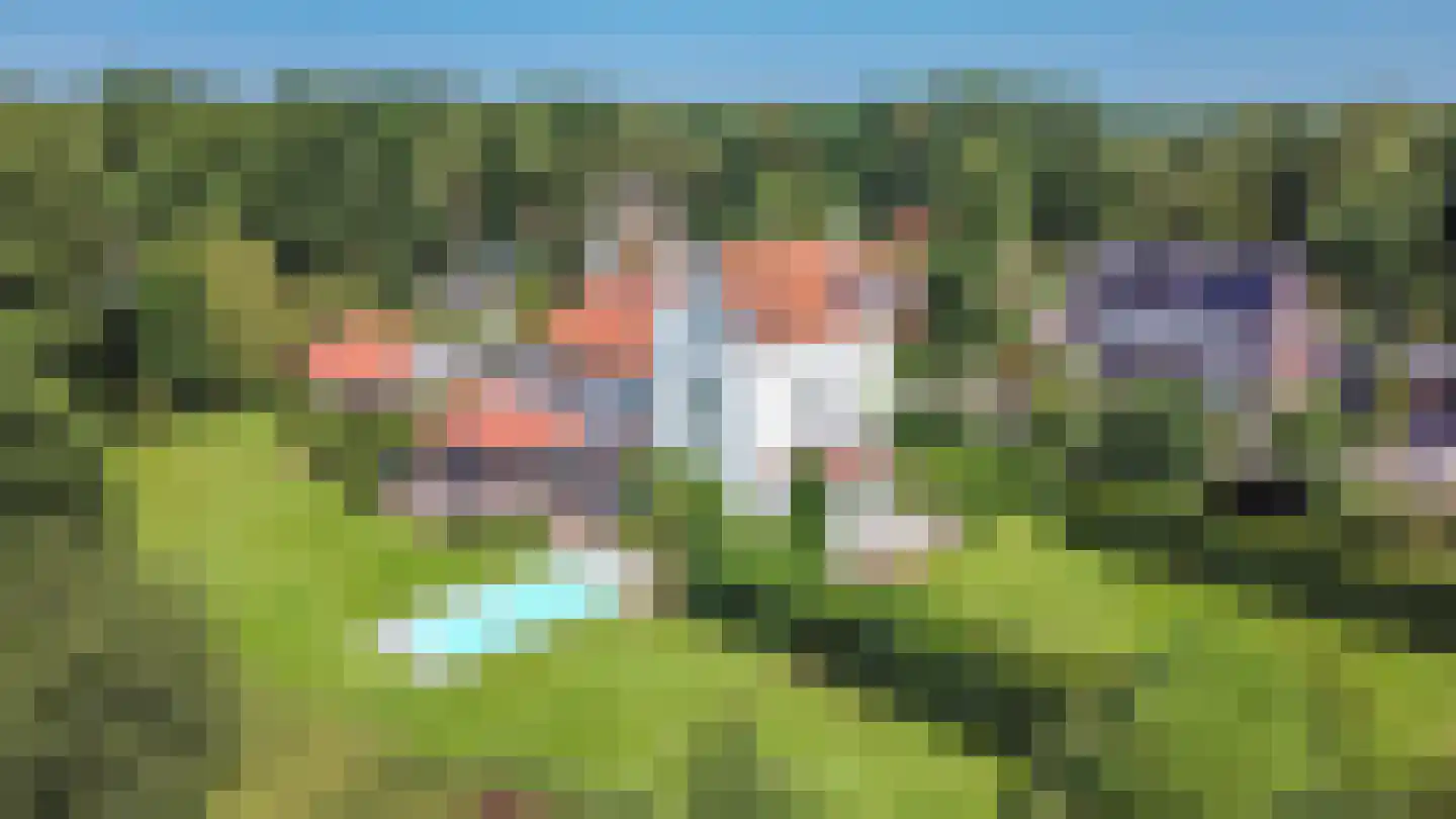Huizerweg 57 dans Blaricum