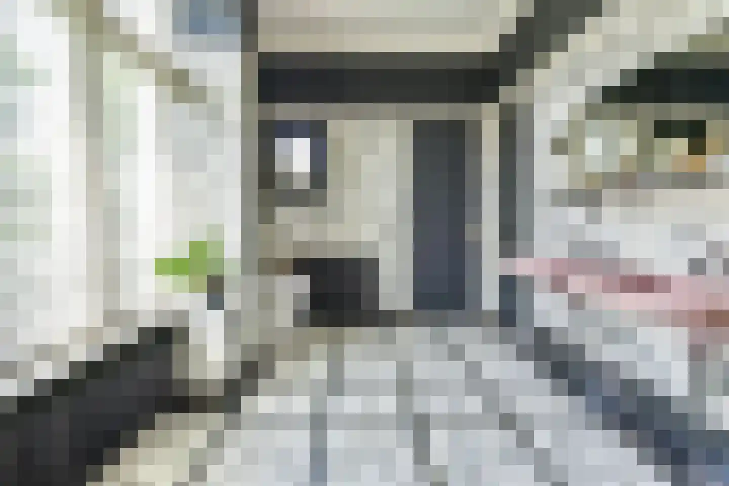 Huizerweg 57 Blaricum thumbnail 34
