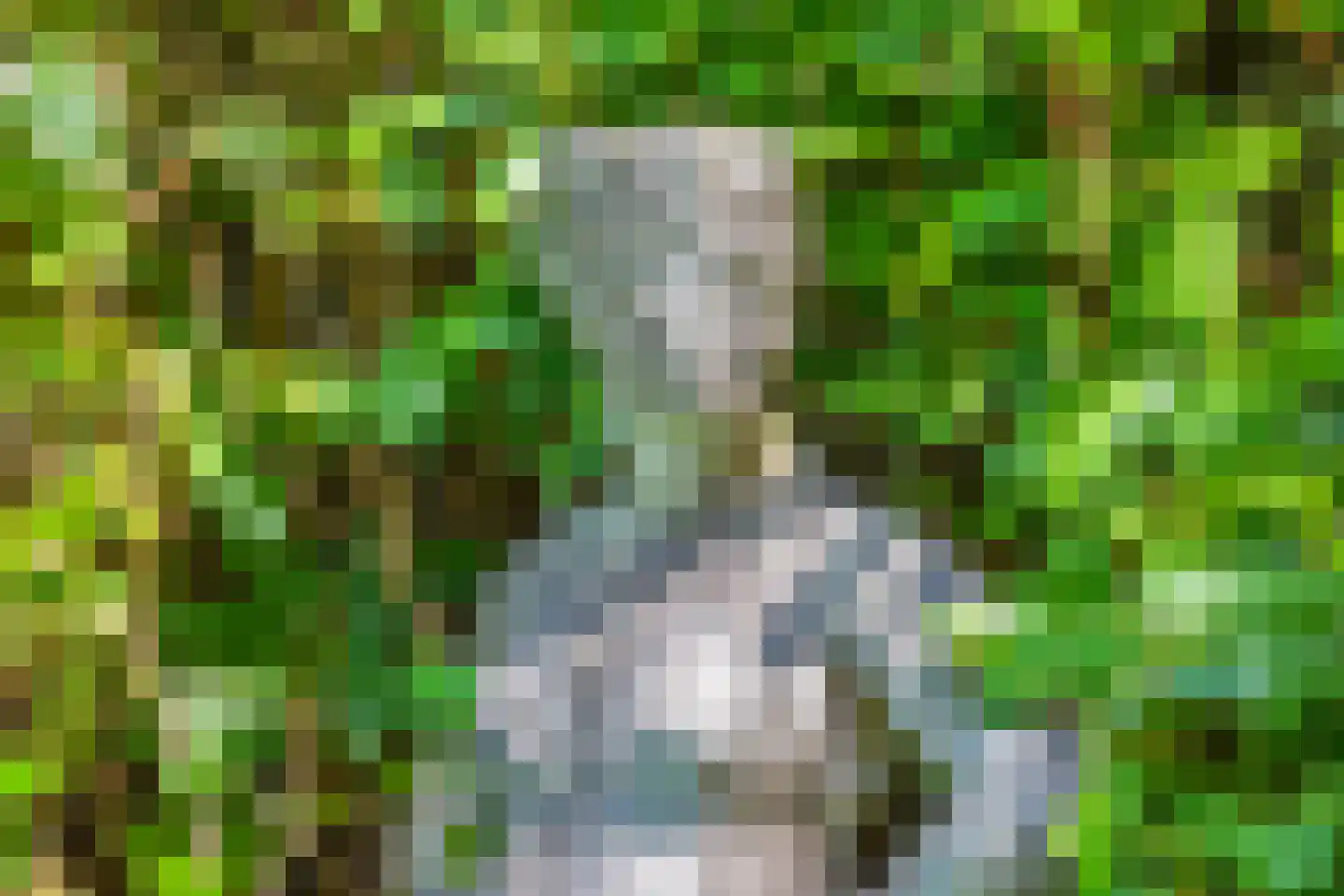 Huizerweg 57 Blaricum thumbnail 40