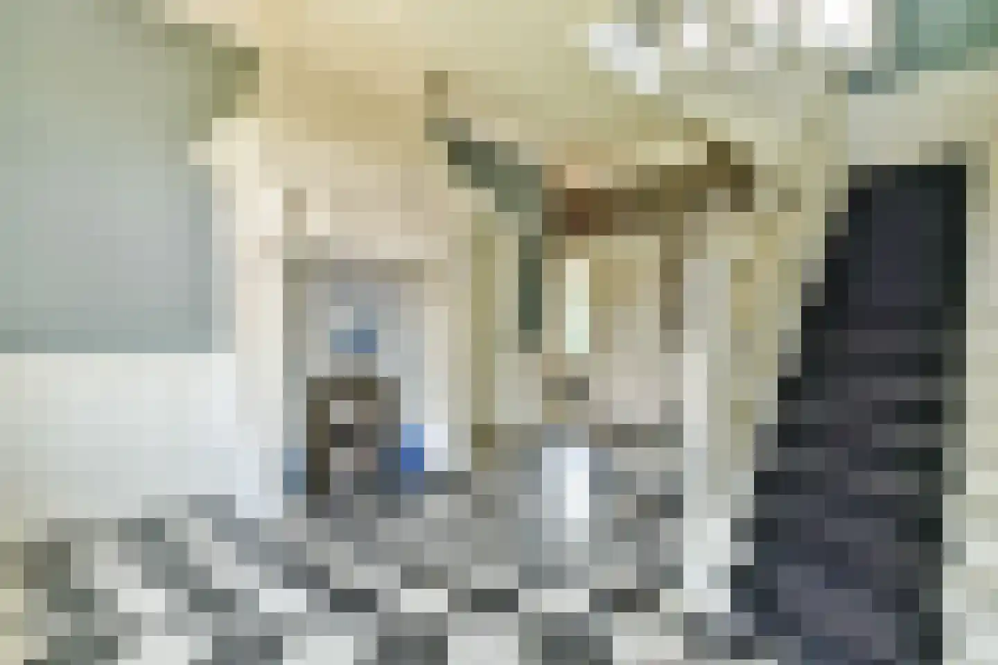 Huizerweg 57 Blaricum thumbnail 7