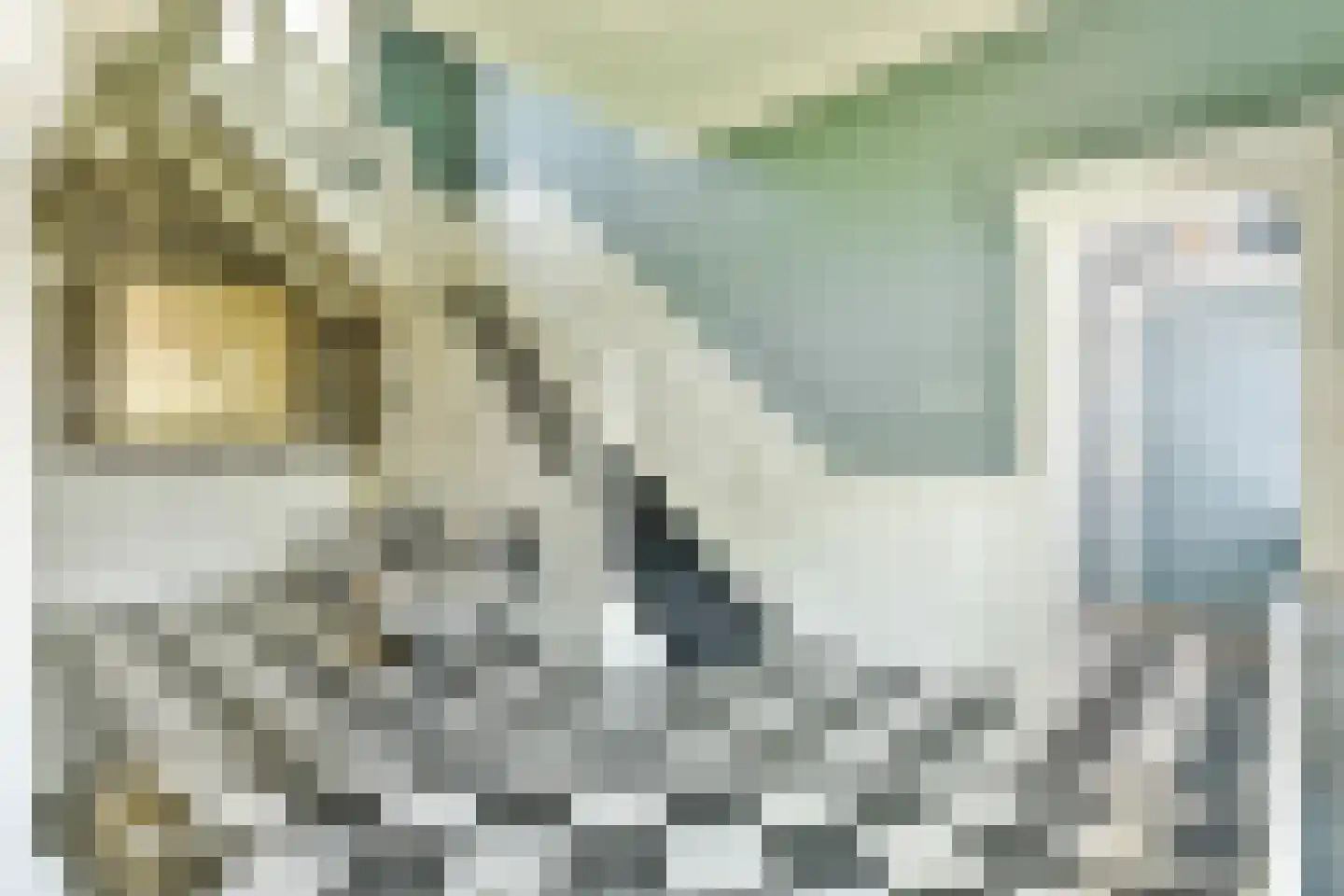 Huizerweg 57 Blaricum thumbnail 9