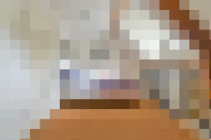 Huizerweg 75 Blaricum thumbnail 31
