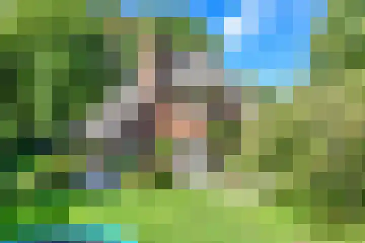 Huizerweg 75 Blaricum thumbnail 33