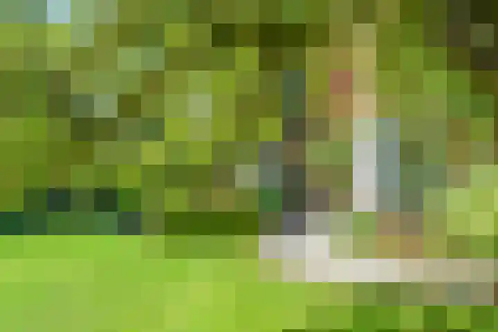 Huizerweg 75 Blaricum thumbnail 34