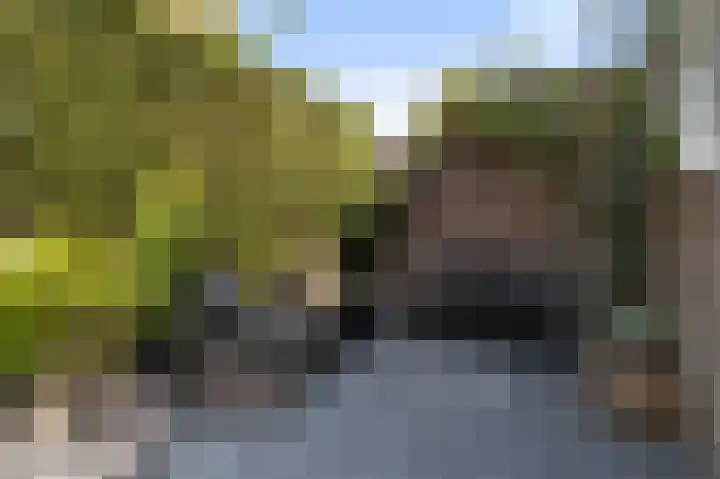Huizerweg 89 Bussum thumbnail 20