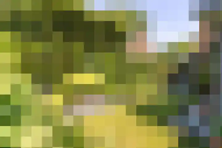 Huizerweg 89 Bussum thumbnail 21