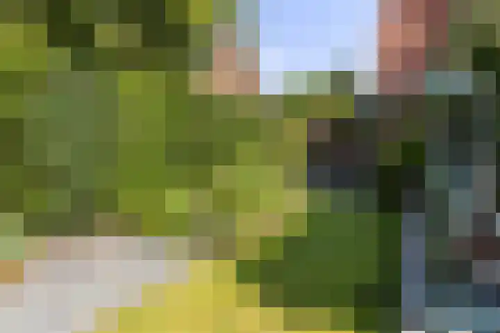 Huizerweg 89 Bussum thumbnail 37