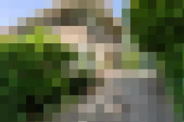 Huizerweg 89 Bussum thumbnail 4