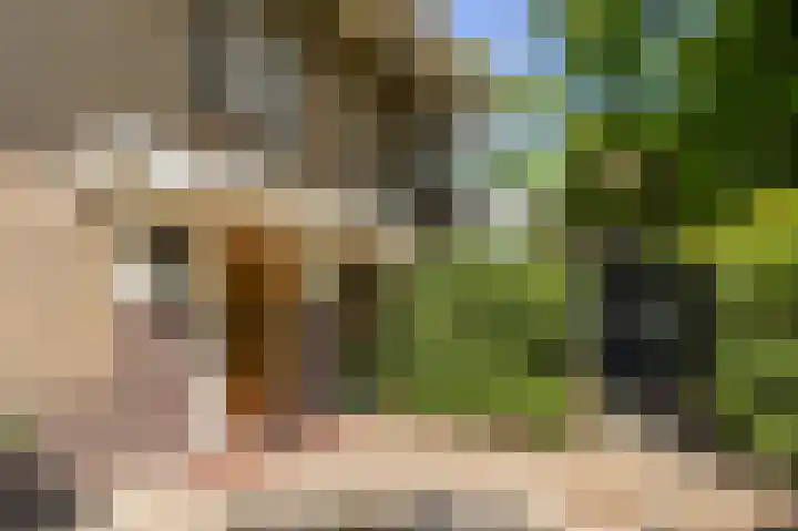 Huizerweg 89 Bussum thumbnail 5