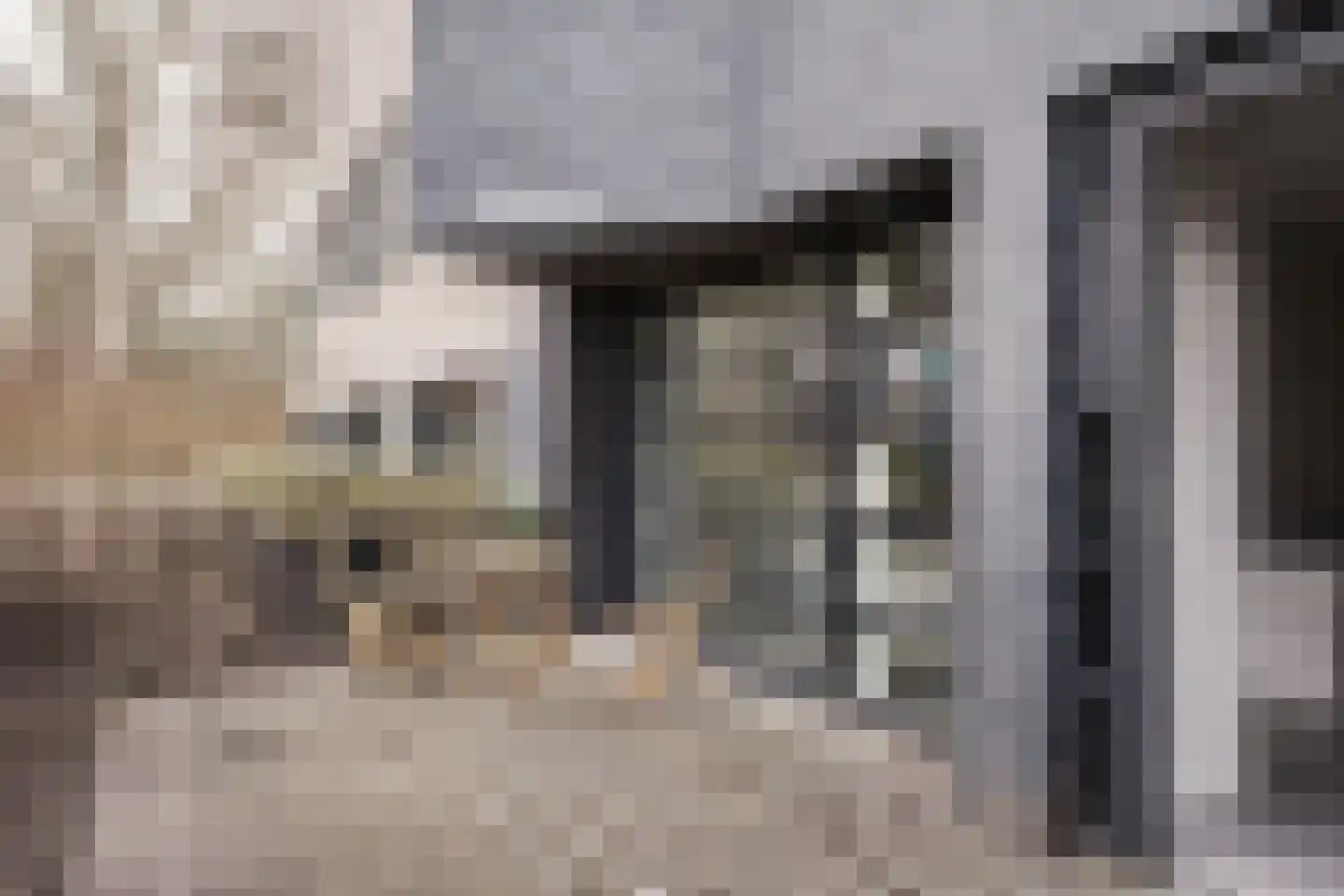 Huizingalaan 173 Utrecht thumbnail 6