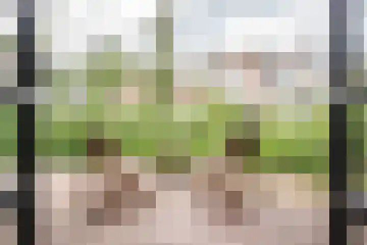 Huizingalaan 175 Utrecht thumbnail 20