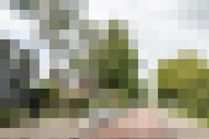 Huizingalaan 175 Utrecht thumbnail 25