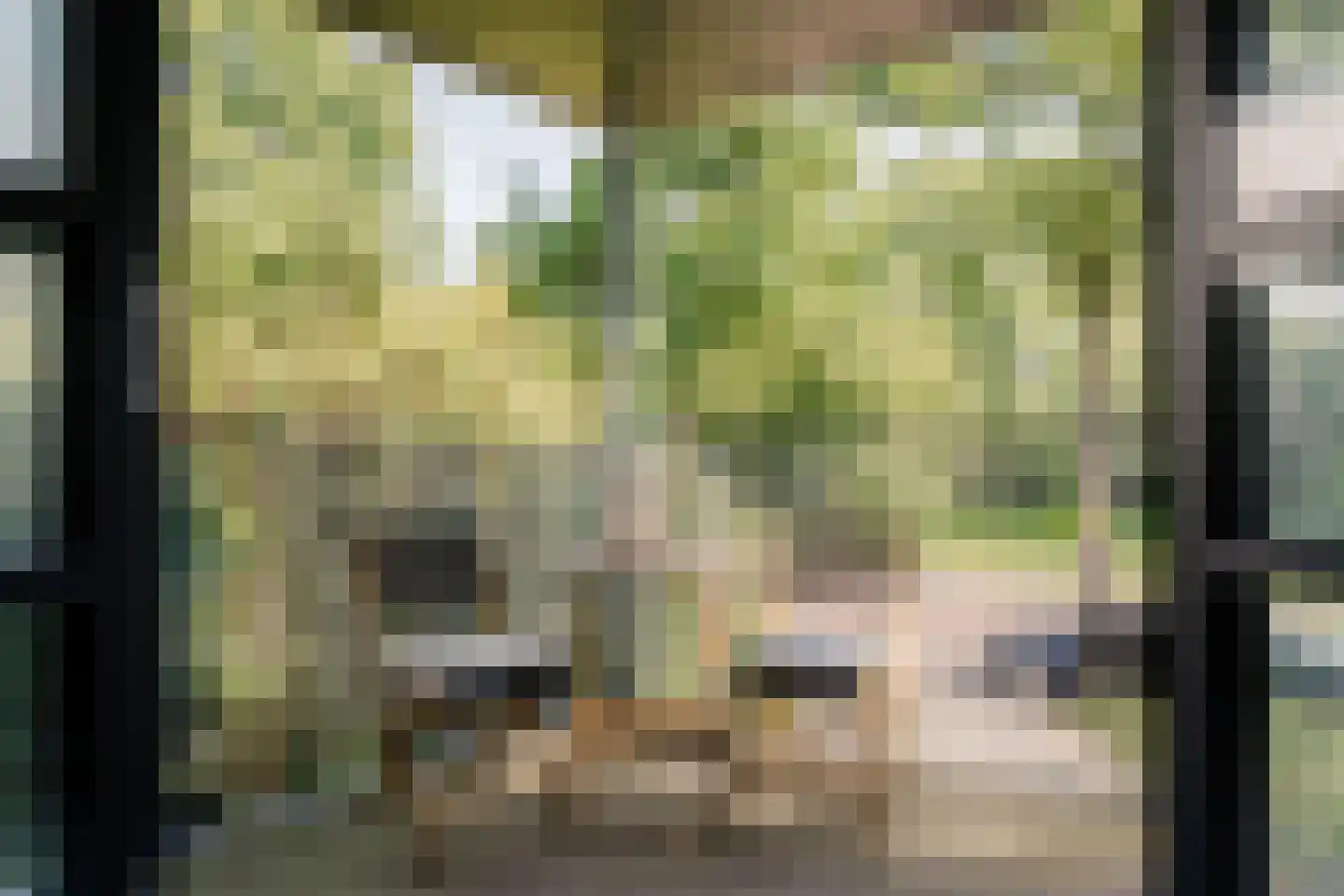 Huizingalaan 177 Utrecht thumbnail 23