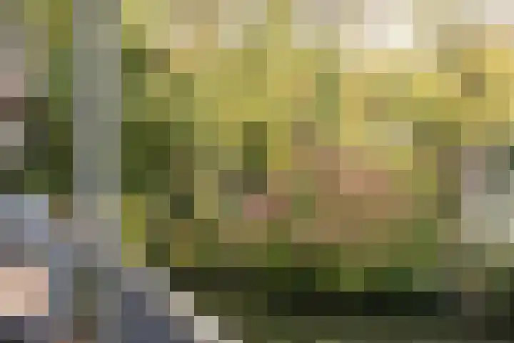 Huizingalaan 179 Utrecht thumbnail 23
