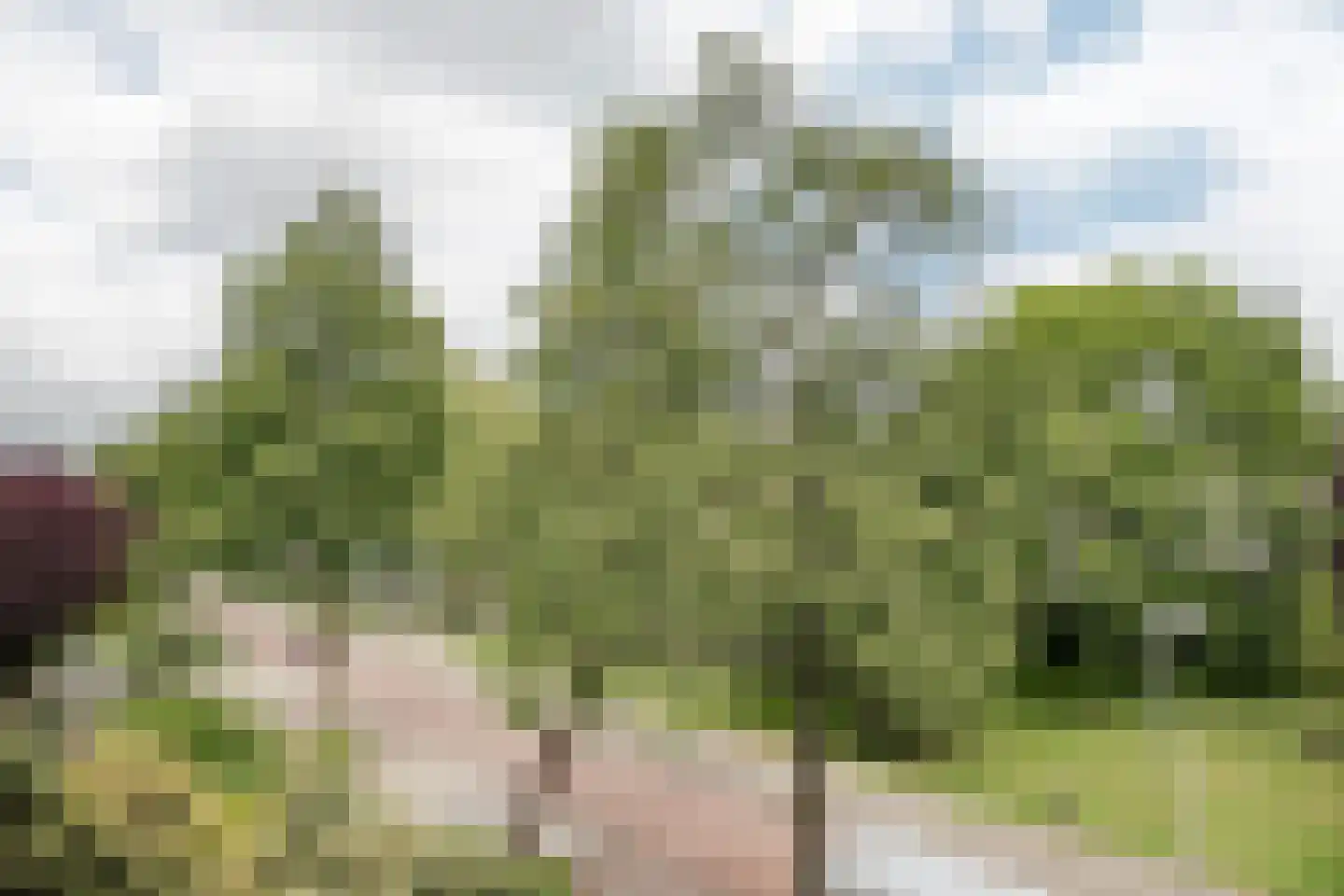 Huizingalaan 181 Utrecht thumbnail 19