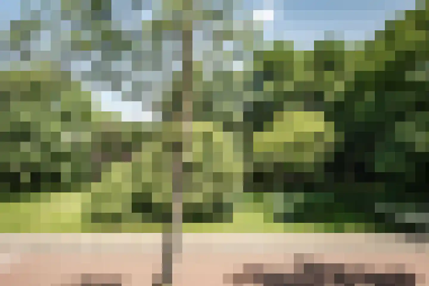 Huizingalaan 191 Utrecht thumbnail 16