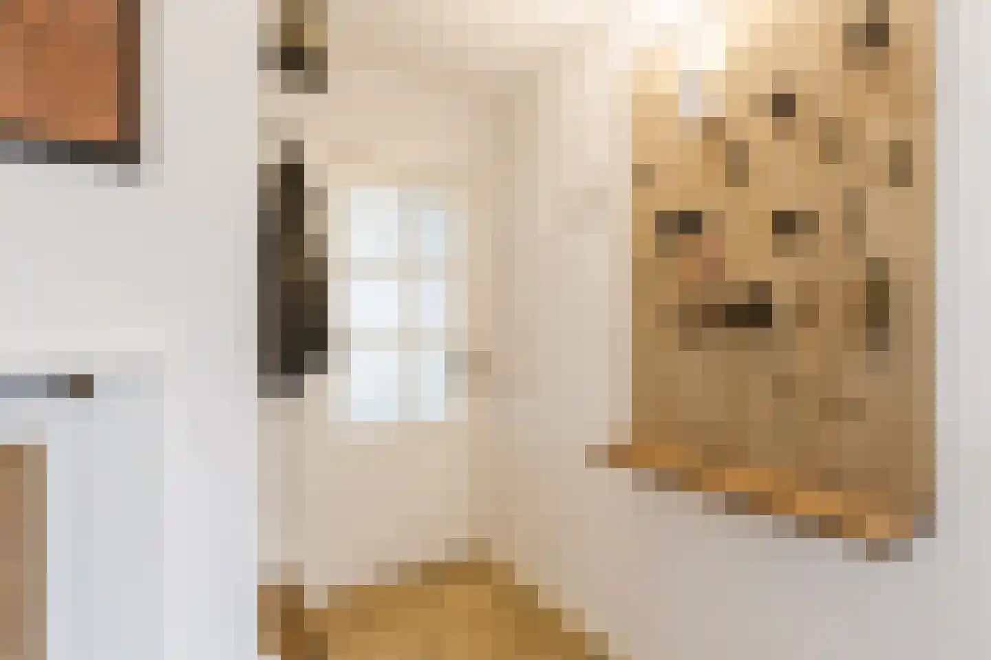 Huizingalaan 26 Eindhoven thumbnail 18