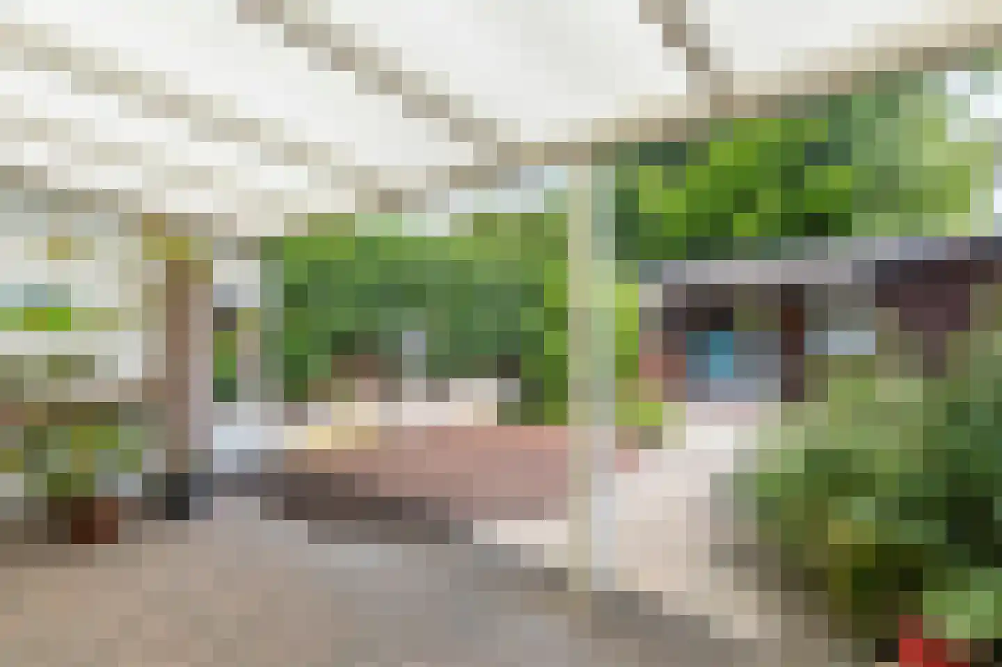 Huizingalaan 26 Eindhoven thumbnail 40