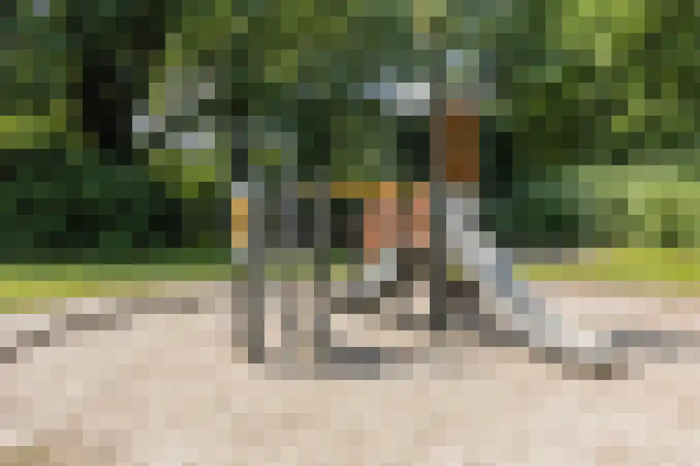 Huizingalaan 26 Eindhoven thumbnail 47