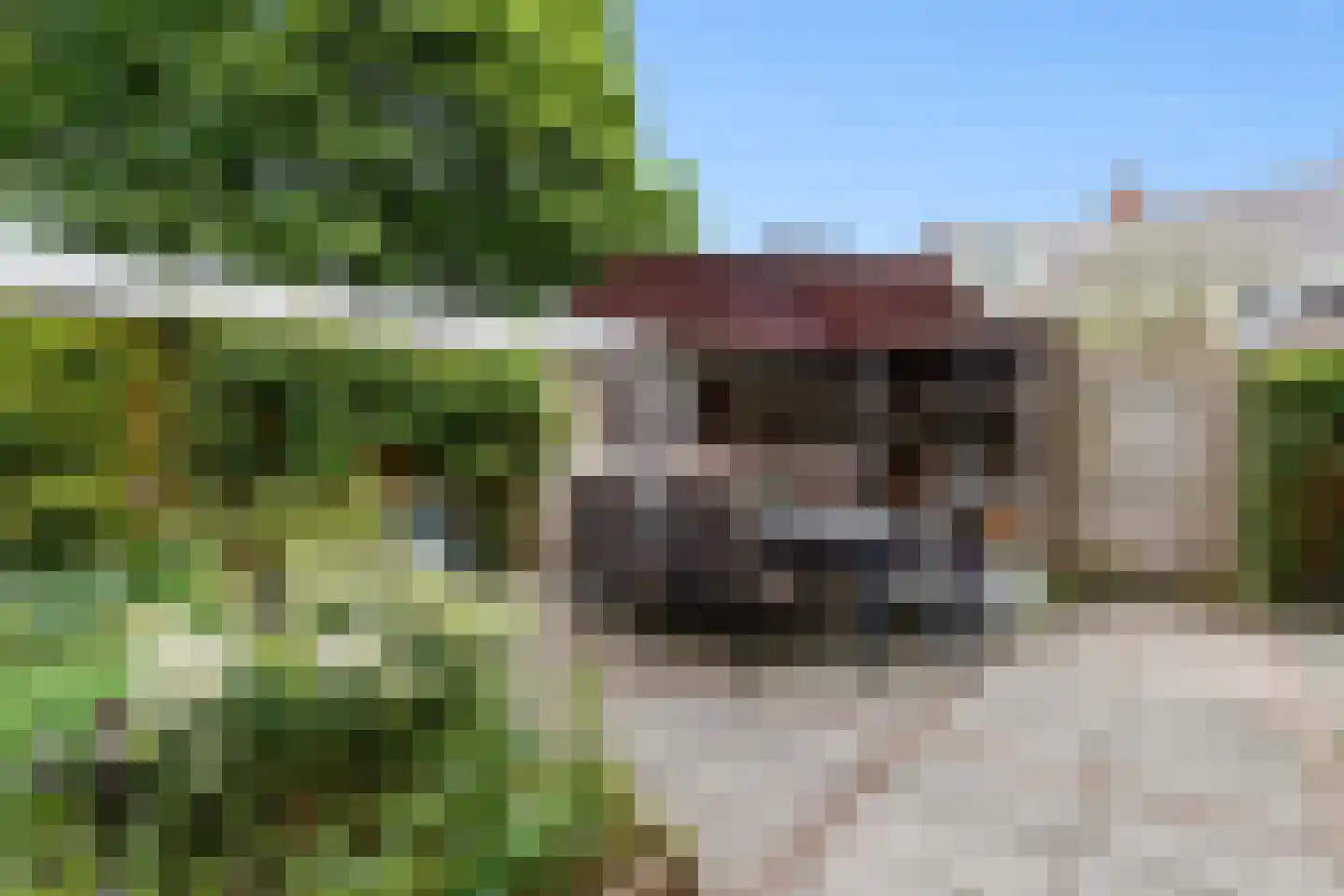 Huizingalaan 32 Utrecht thumbnail 12