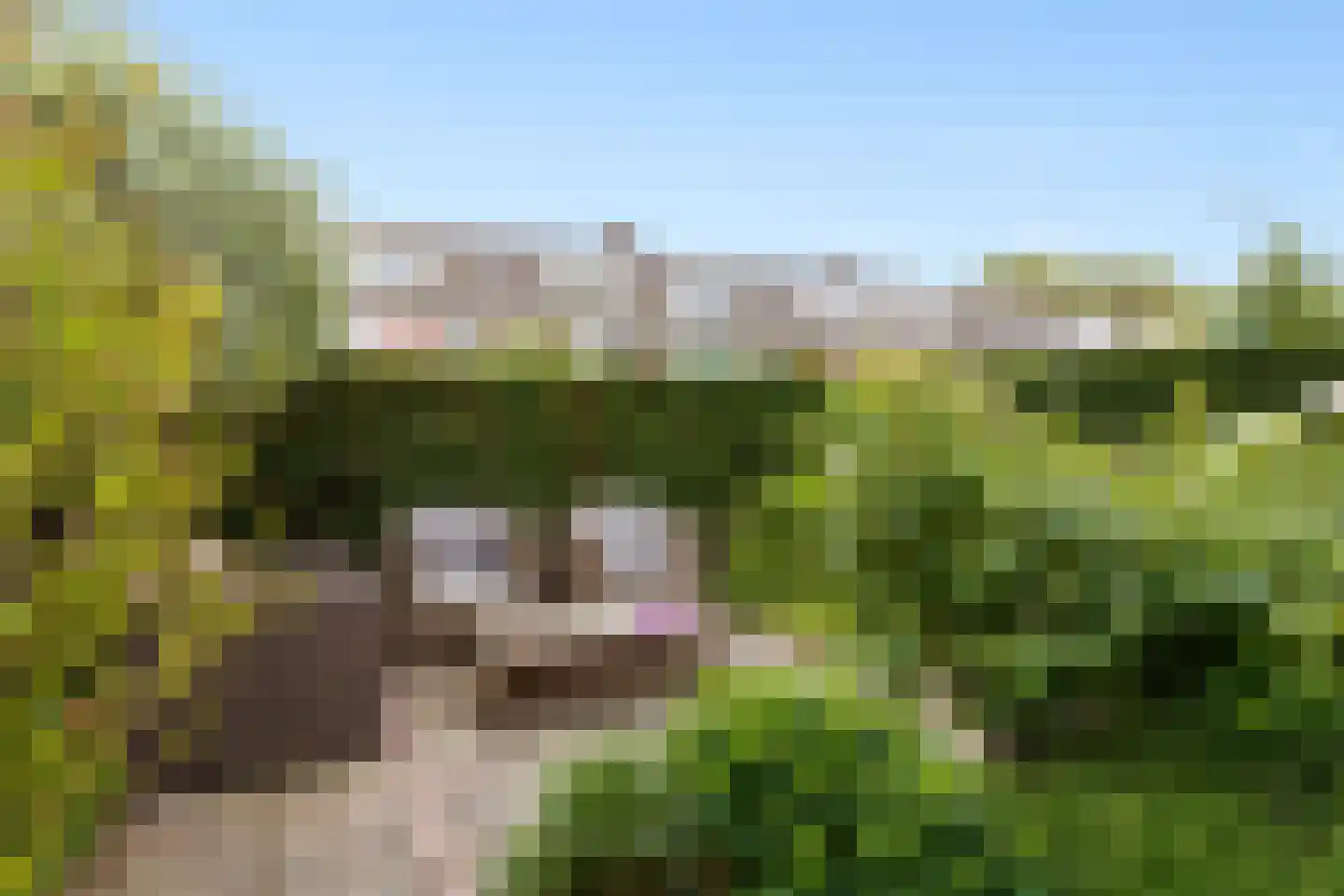 Huizingalaan 32 Utrecht thumbnail 5