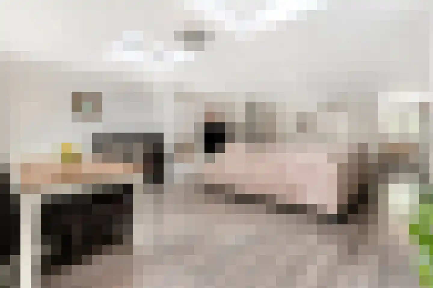 Huizingalaan 36 Eindhoven thumbnail 12