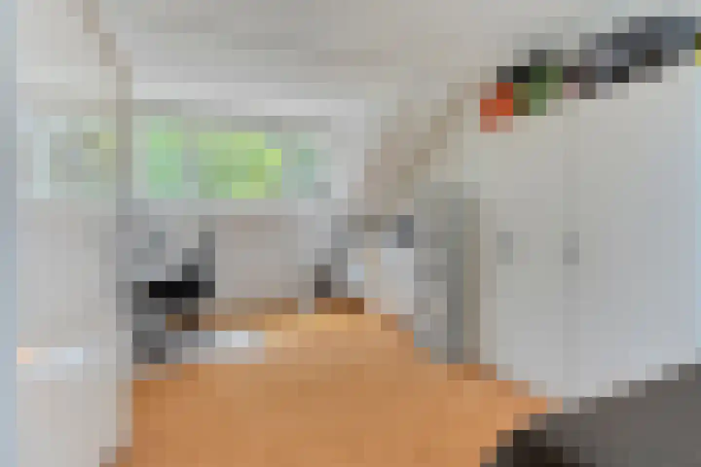 Huizingalaan 36 Eindhoven thumbnail 33