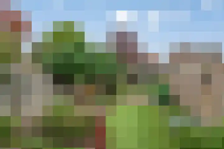 Huizingalaan 38 Eindhoven thumbnail 32
