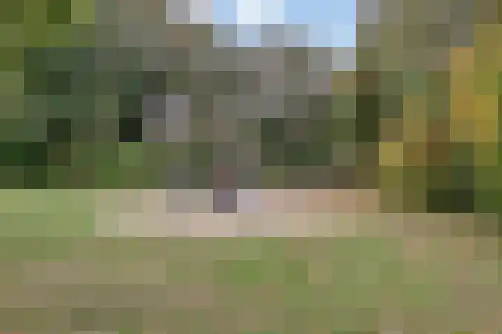 Huizingalaan 38 Eindhoven thumbnail 36