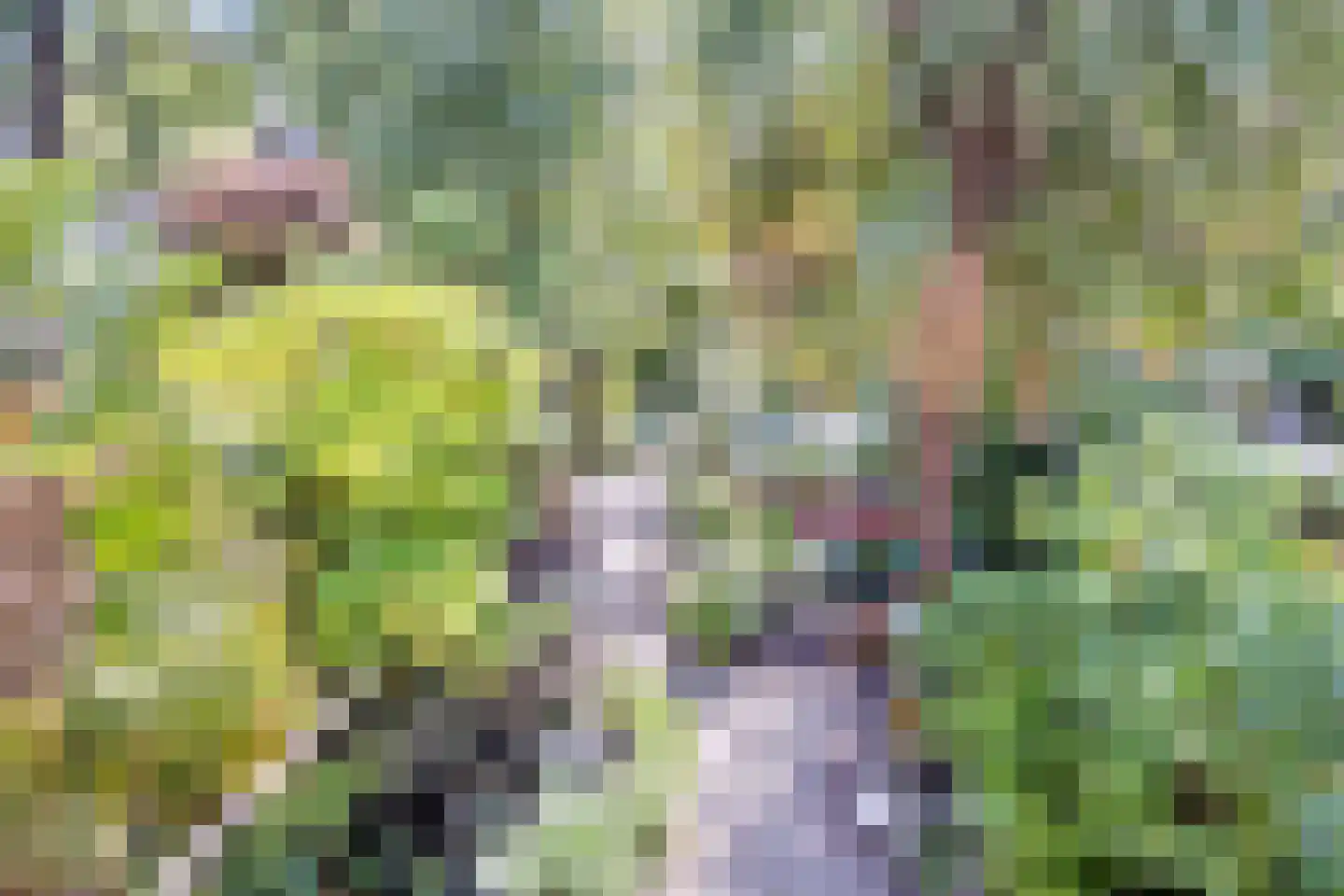 Huizingalaan 41 Utrecht thumbnail 21