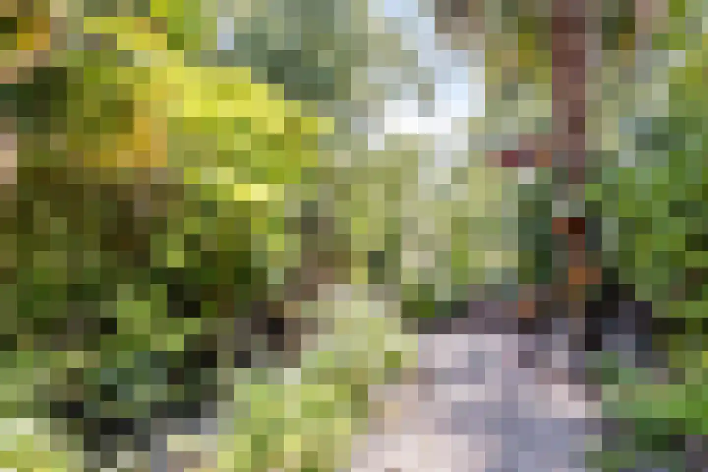 Huizingalaan 41 Utrecht thumbnail 28