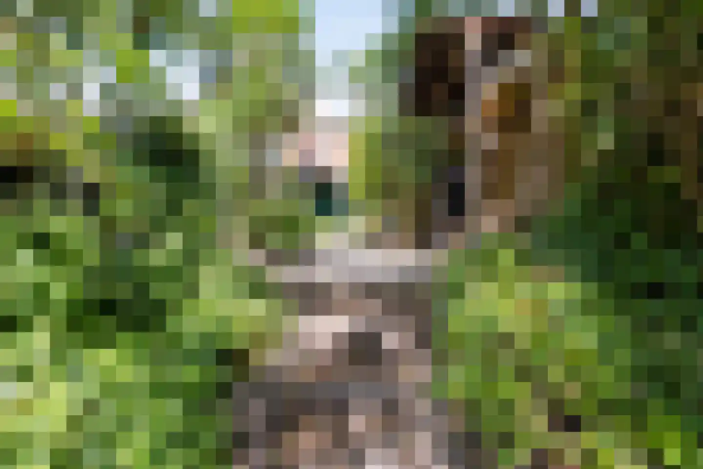 Huizingalaan 41 Utrecht thumbnail 31