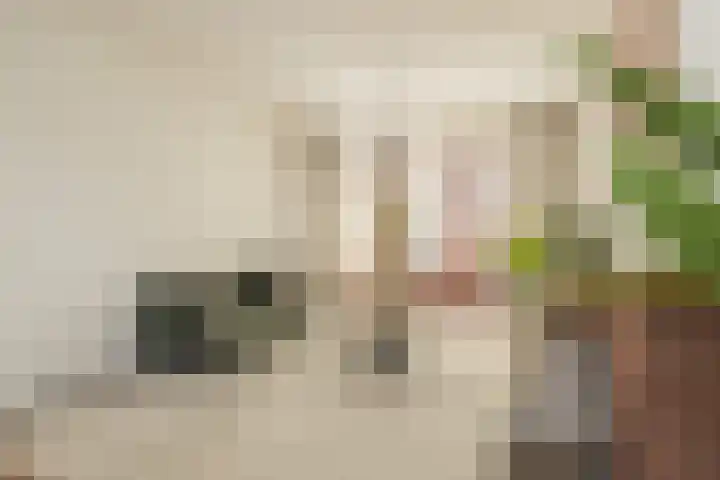 Huizingastraat 18 Leiden thumbnail 15