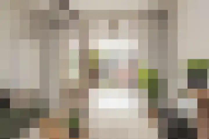 Huizingastraat 18 Leiden thumbnail 18