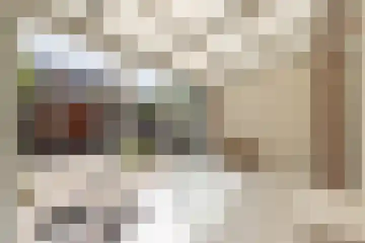 Huizingastraat 18 Leiden thumbnail 19