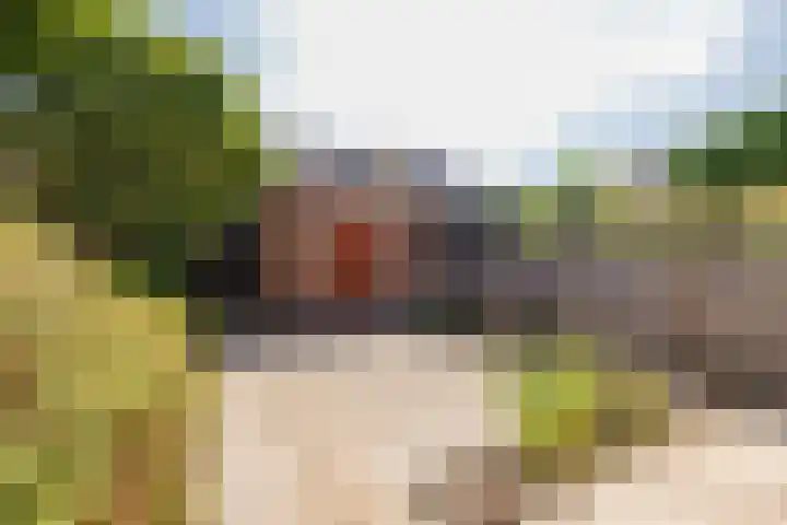 Huizingastraat 18 Leiden thumbnail 22