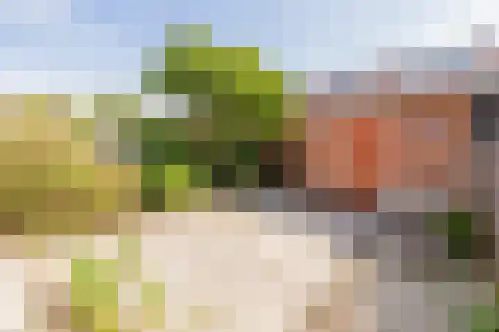 Huizingastraat 18 Leiden thumbnail 24