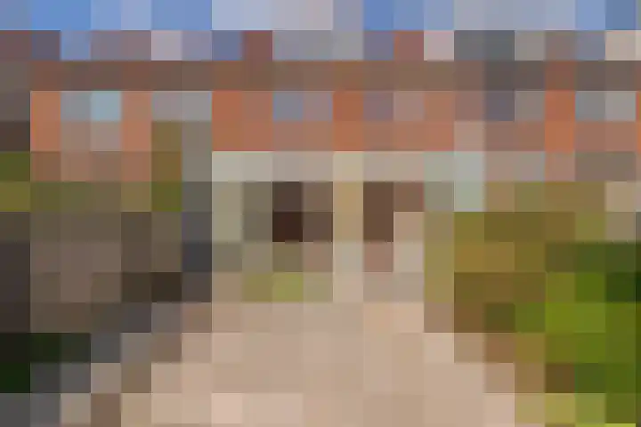 Huizingastraat 18 Leiden thumbnail 26