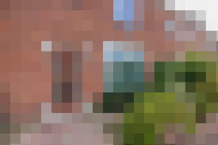 Huizingastraat 18 Leiden thumbnail 4